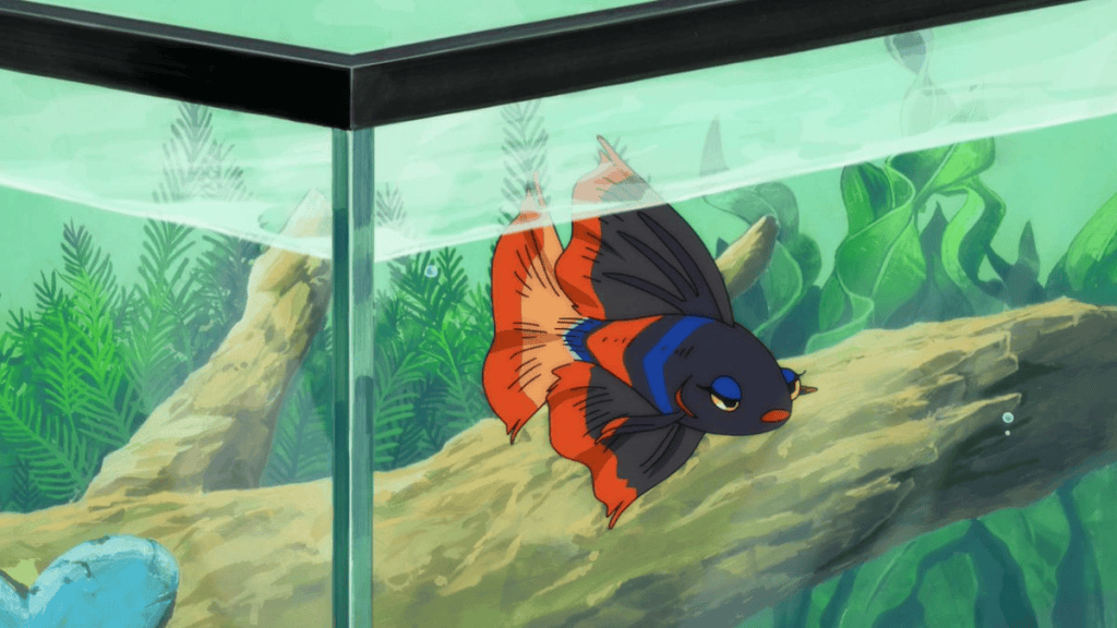 Grace in her goldfish form 🤣